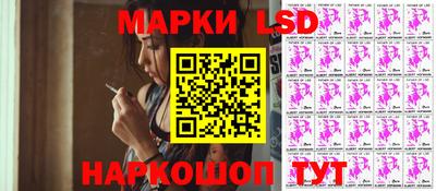 прущие грибы Будённовск