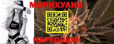 прущие грибы Будённовск