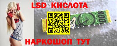 прущие грибы Будённовск