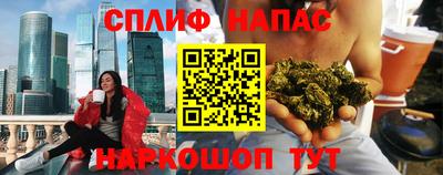 прущие грибы Будённовск