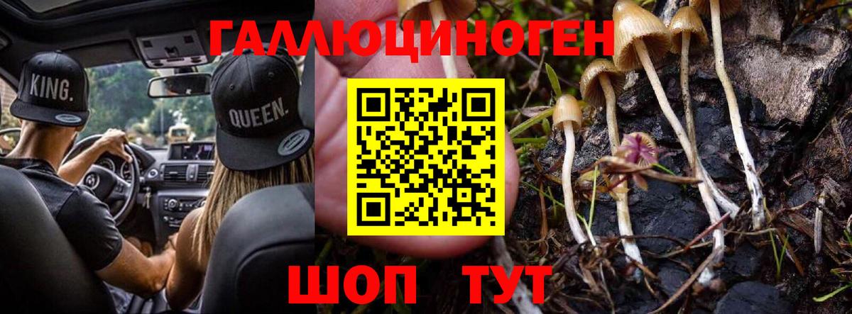 Галлюциногенные грибы мицелий  Галлюциногенные грибы мицелий  Вход с VPN  Солнечногорск 