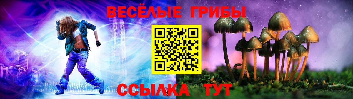Галлюциногенные грибы Psilocybe Солнечногорск